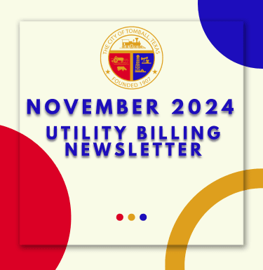 November 2024 - UB Newsletter Graphic