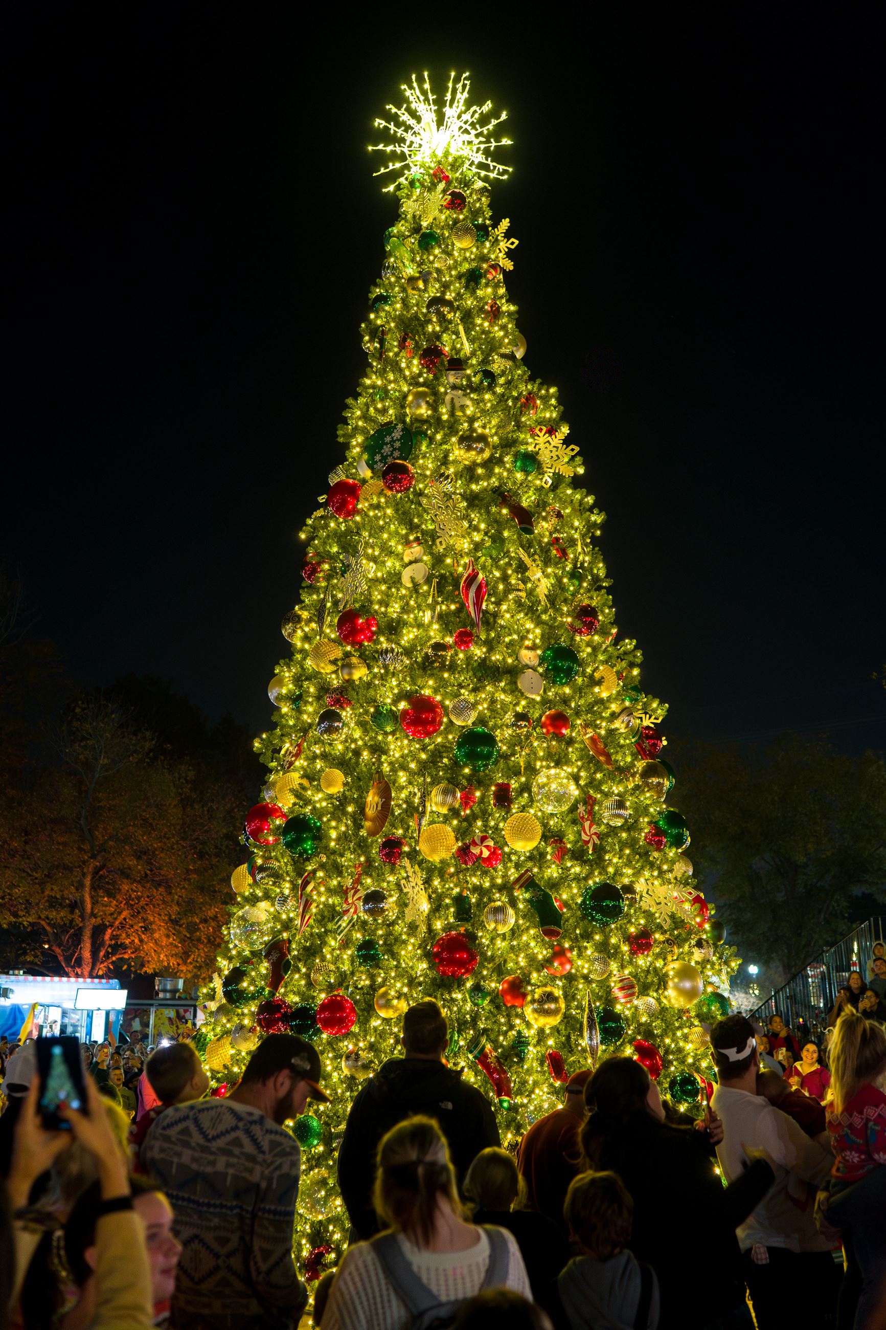 Image of the Tomball Depot Plaza Christmas Tree Illuminated